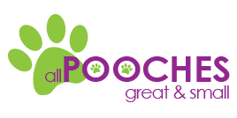 All Pooches Great and Small, Carlton Miniott, Thirsk