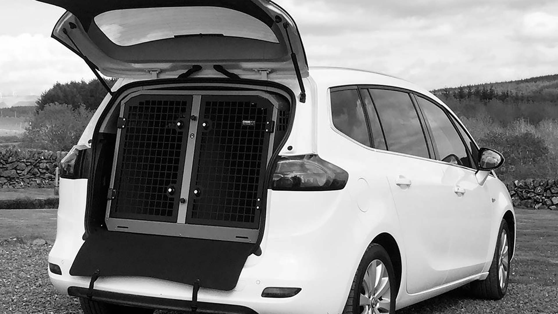 Pet taxi services in Thirsk